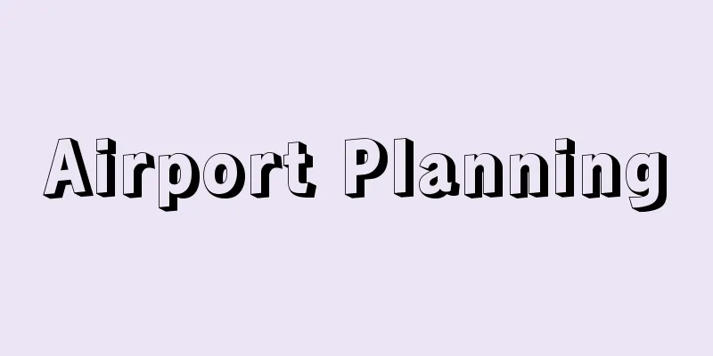 Airport Planning