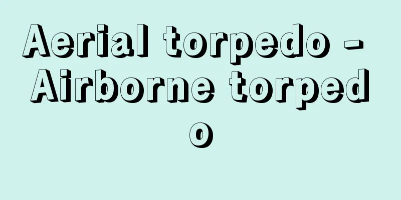 Aerial torpedo - Airborne torpedo