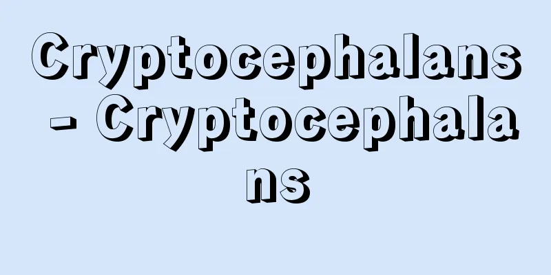 Cryptocephalans - Cryptocephalans