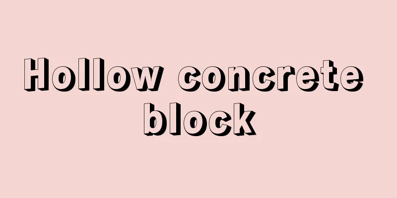 Hollow concrete block