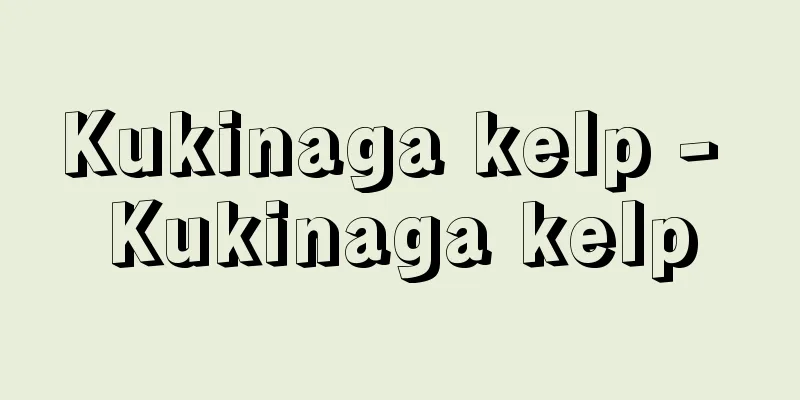 Kukinaga kelp - Kukinaga kelp
