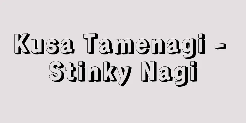 Kusa Tamenagi - Stinky Nagi