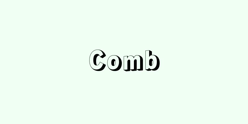 Comb