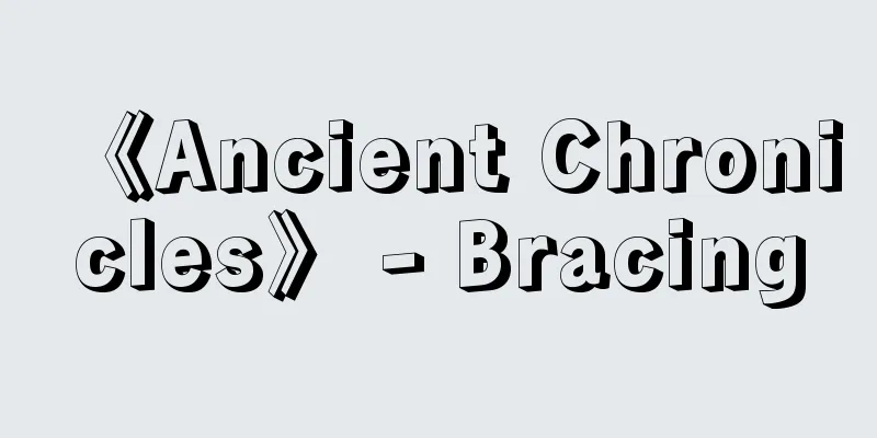 《Ancient Chronicles》 - Bracing