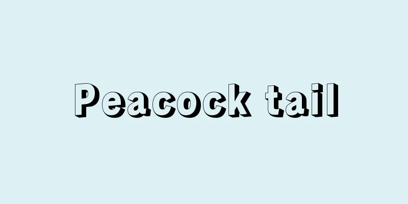 Peacock tail