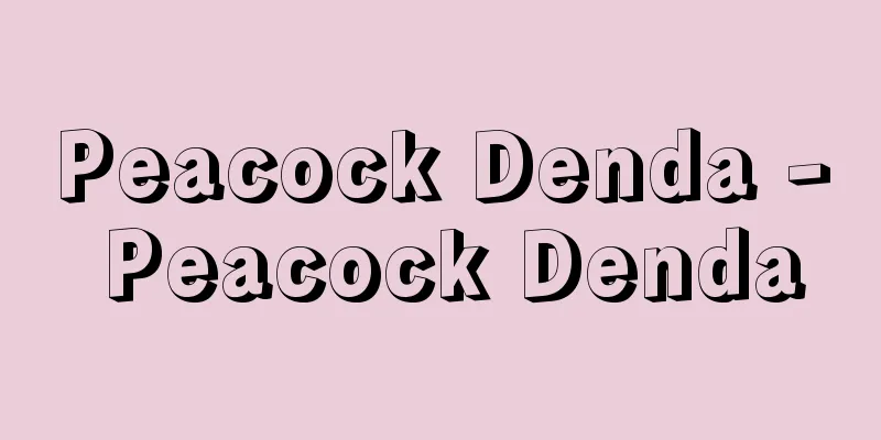Peacock Denda - Peacock Denda