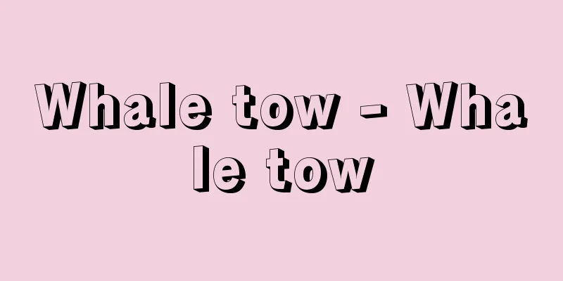 Whale tow - Whale tow