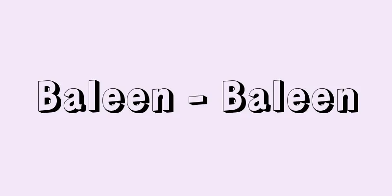 Baleen - Baleen